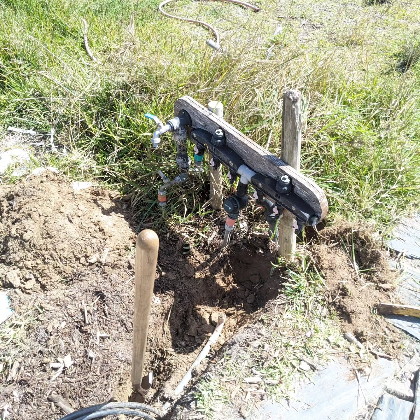 Started work on the next stage of zone 1 irrigation plumbing and wiring.