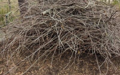 Moving this pile of branches to get to the wood chip underneath.