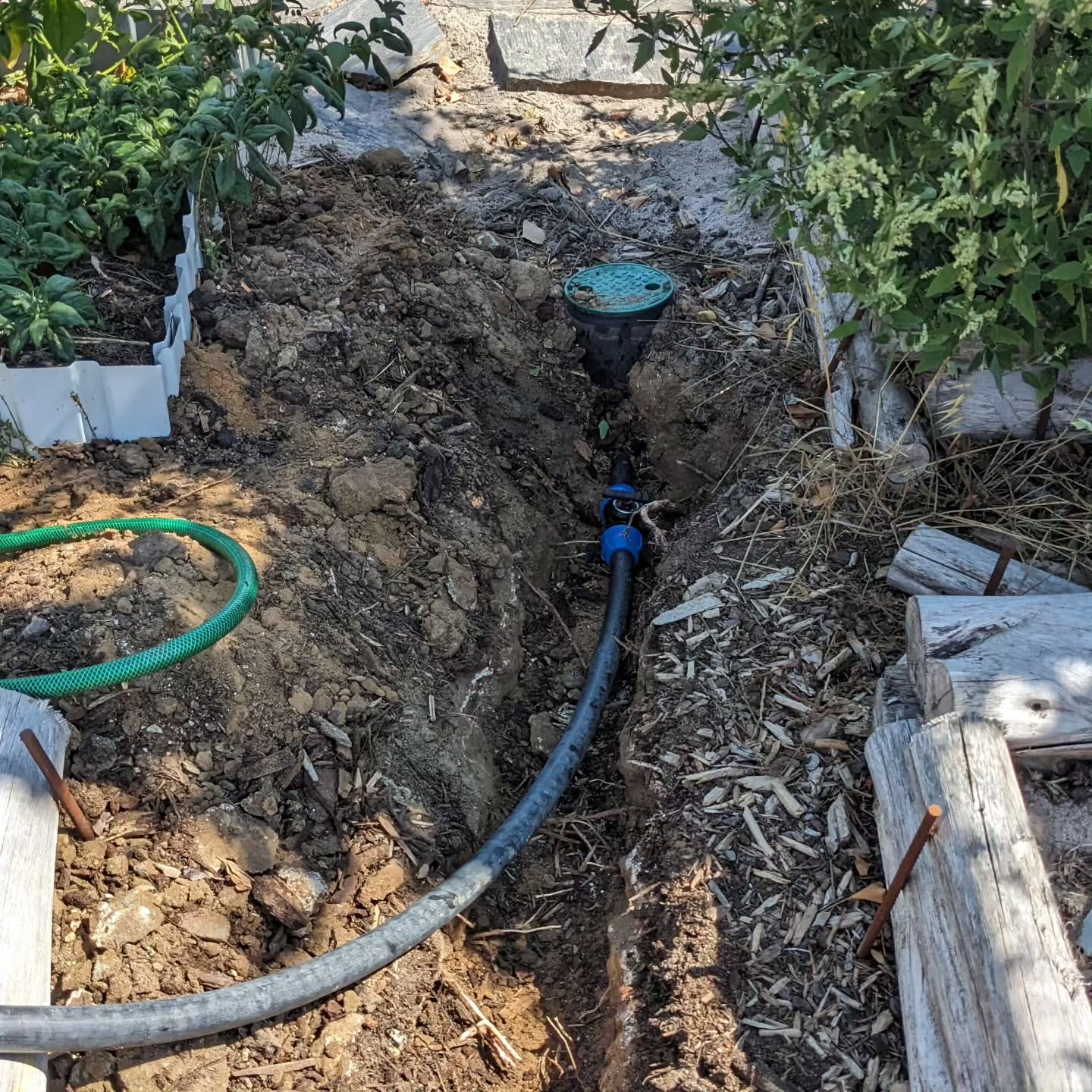 Building the irrigation system for the veggie garden in zone 1.