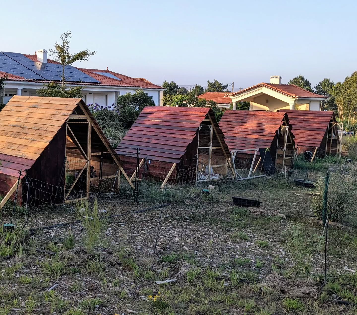 After 6 months and a lot of work, all 4 poultry houses are done!