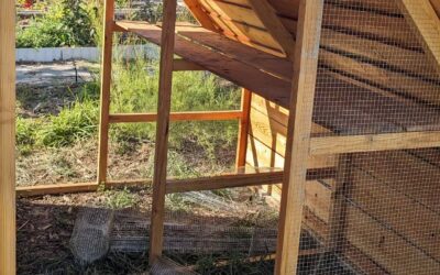 Installing the wire mesh walls of the new coop.