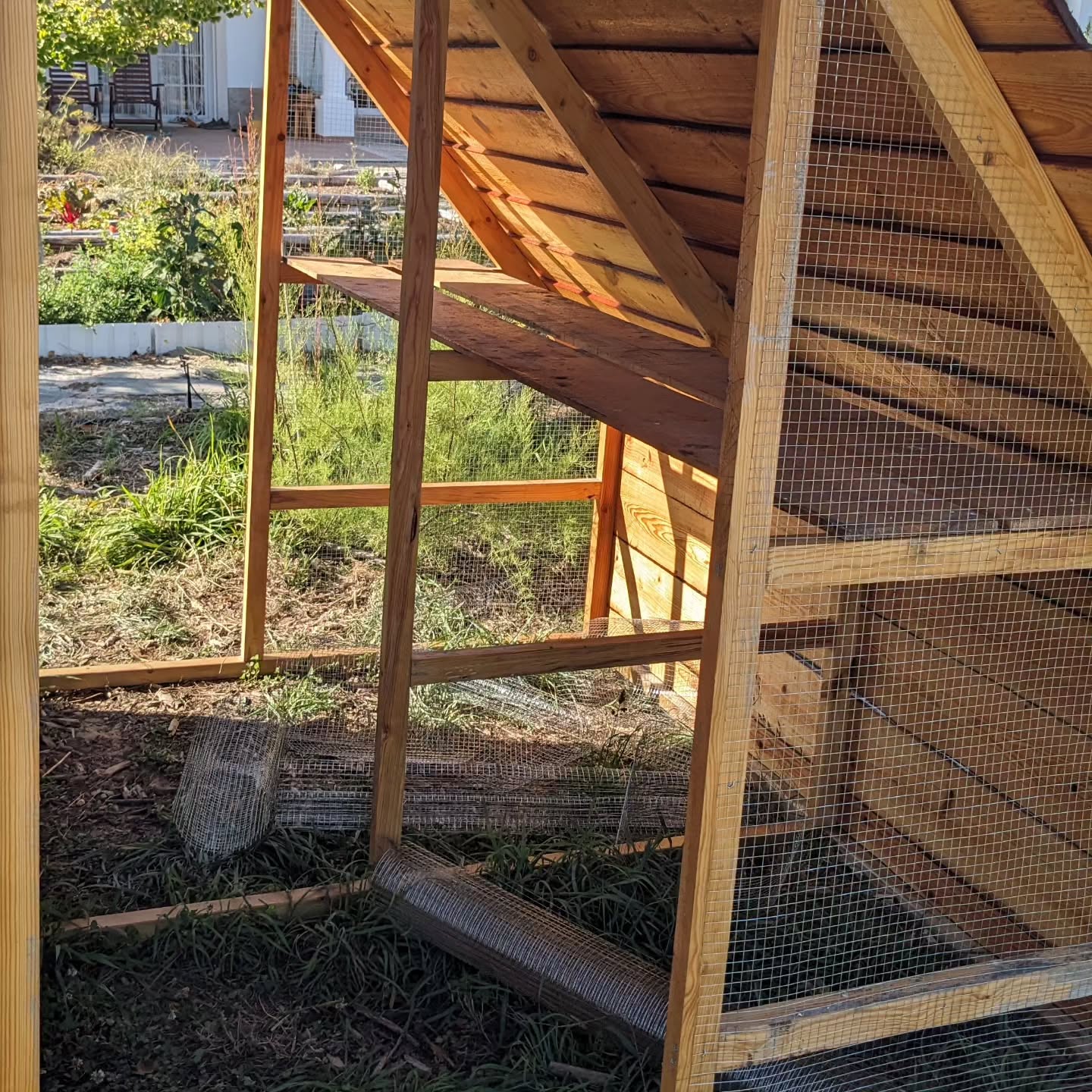 Installing the wire mesh walls of the new coop.