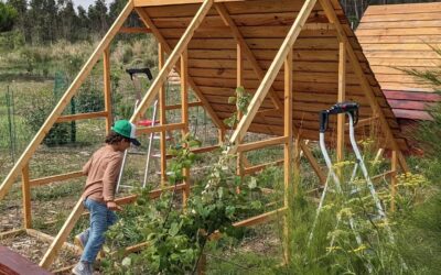 Team effort putting up the last duck coop.
