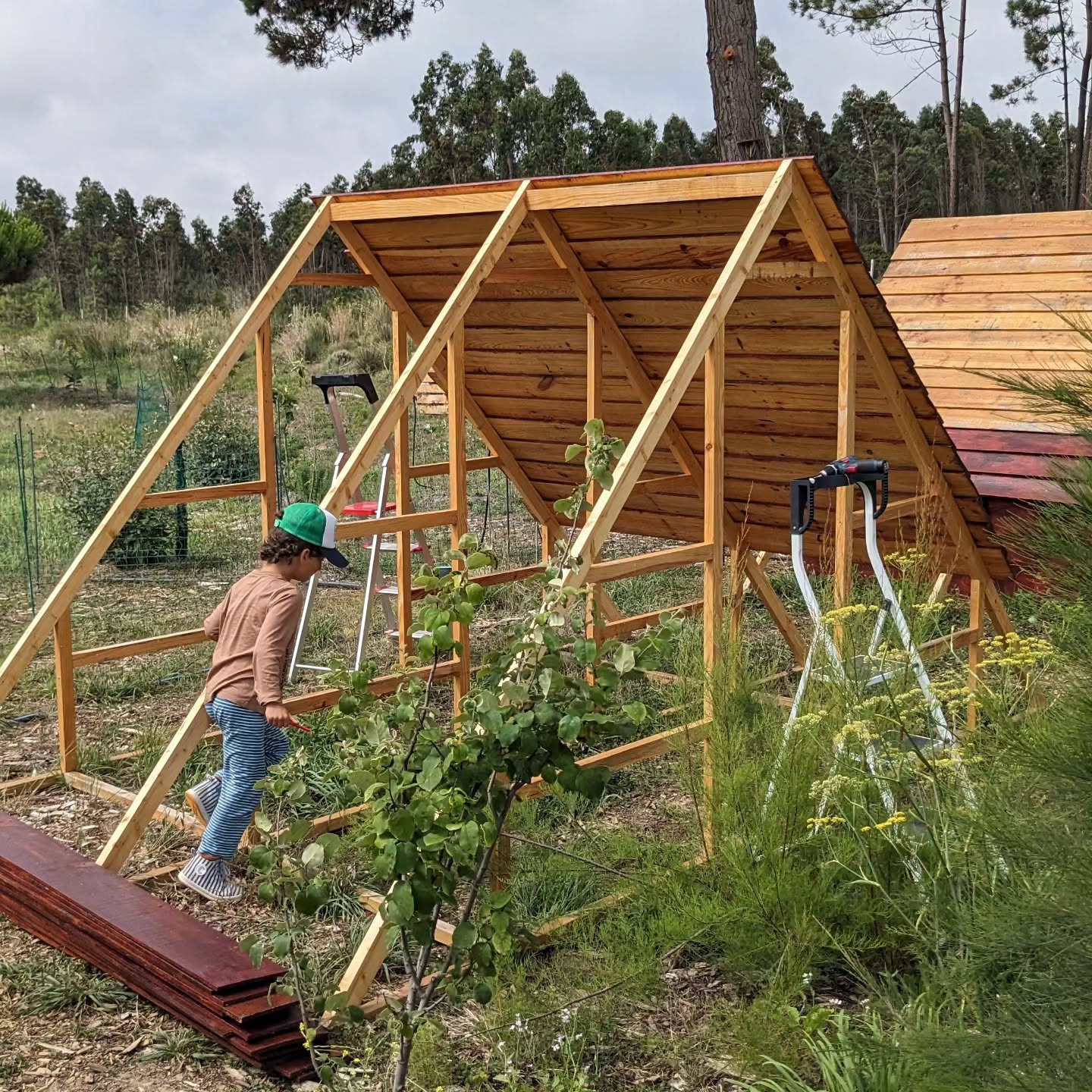 Team effort putting up the last duck coop.