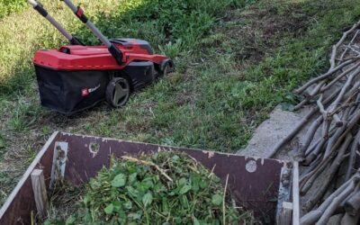 Mowing around the workshop and collecting the clippings for mulch.
