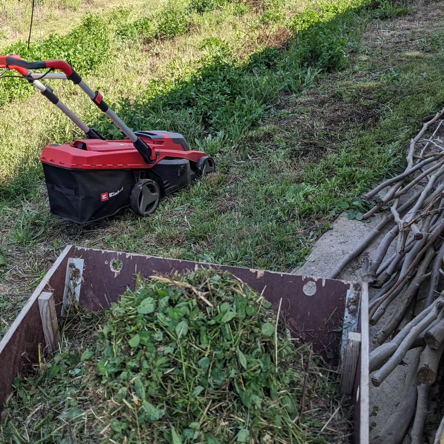 Mowing around the workshop and collecting the clippings for mulch.
