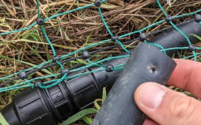 Repaired the accidental fencepost-induced damage to the irrigation line.