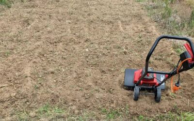 Loosening up very compacted soil on one of the grazing strips and sowing edible stuff for the poultry to forage on.
