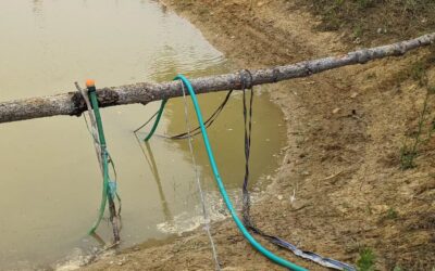 Testing a submersible dirty water pump in the duck pond.