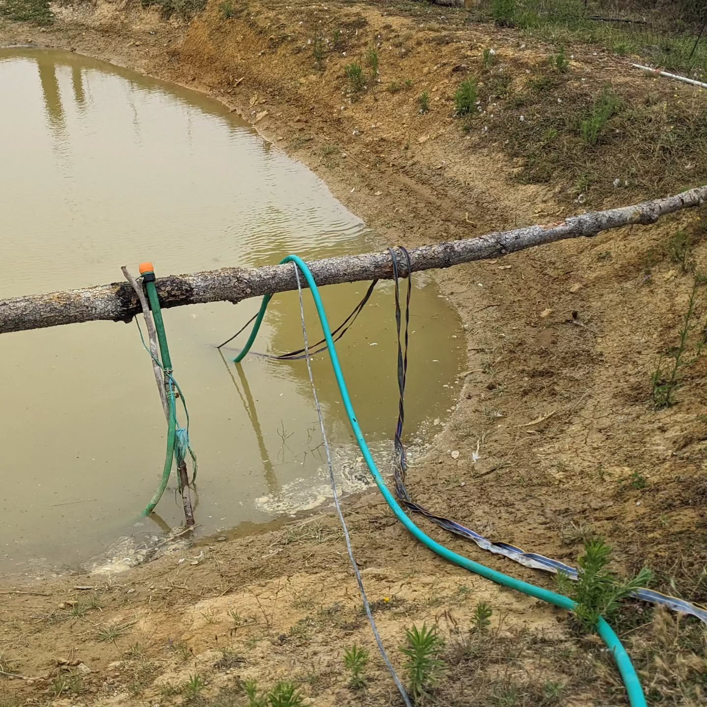 Testing a submersible dirty water pump in the duck pond.