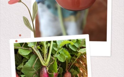 Farm to glass!