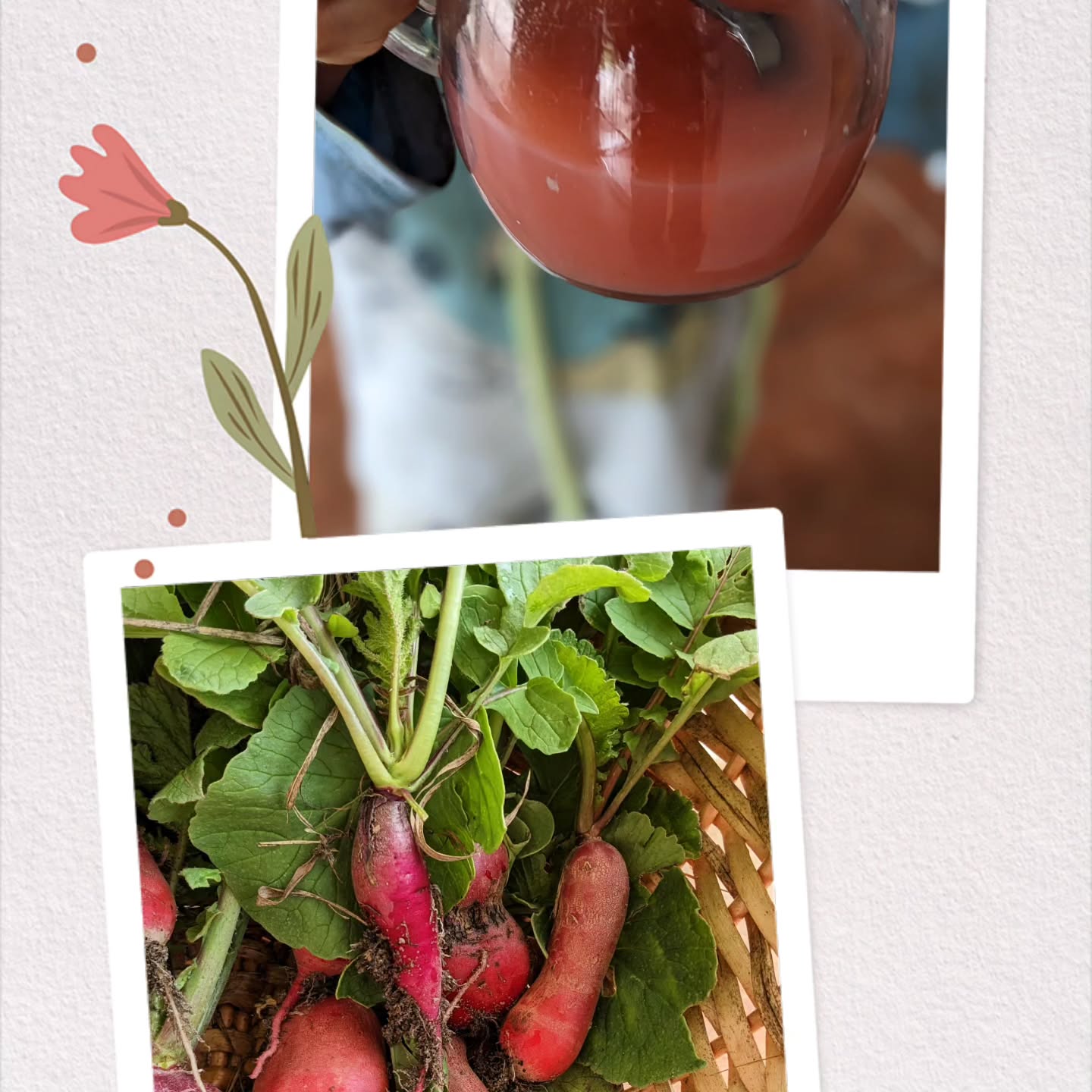 Farm to glass!