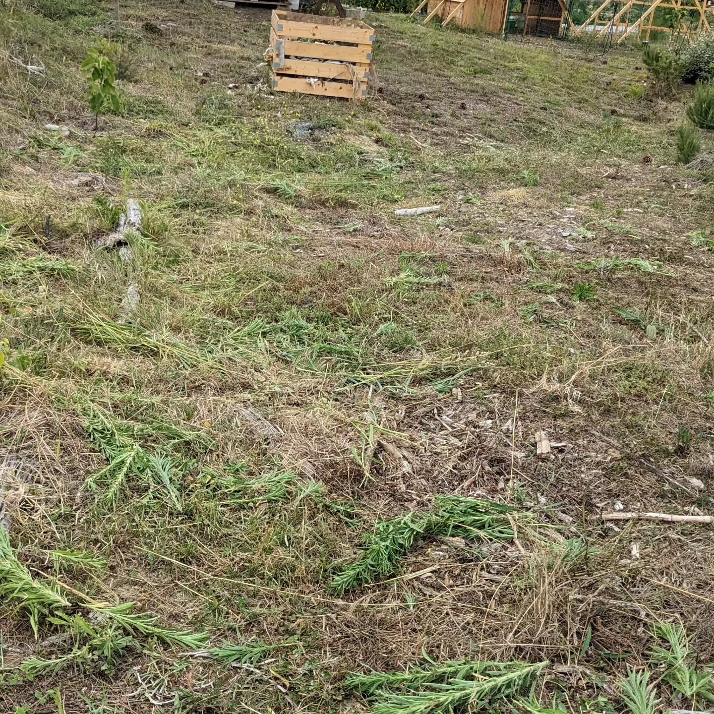 Continuing to mow in #zone2