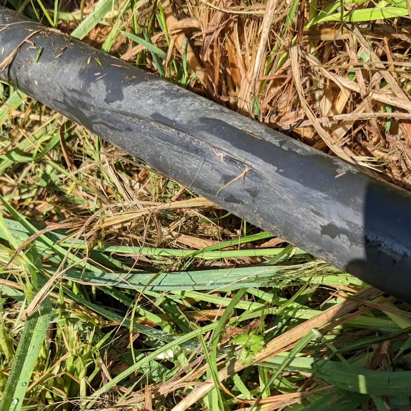 Patching an irrigation tube accidentally touched with the brush cutter. It’s difficult to avoid the tubes in areas with lush growth…