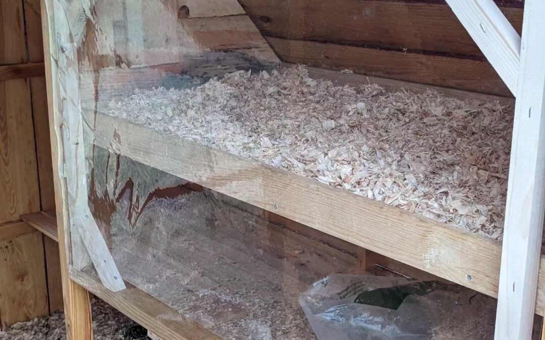 Brooder module added to the recently built poultry house. The goslings are the first to try it tonight.