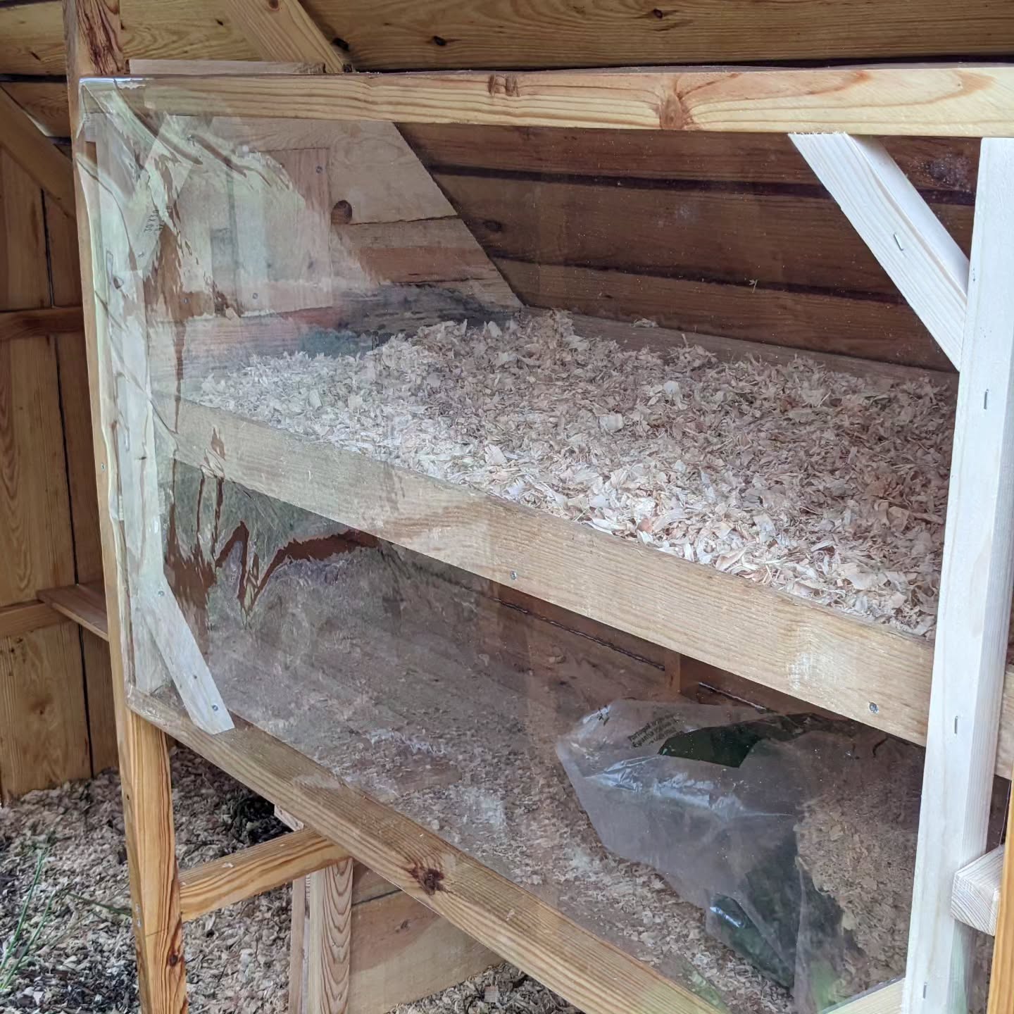 Brooder module added to the recently built poultry house. The goslings are the first to try it tonight.