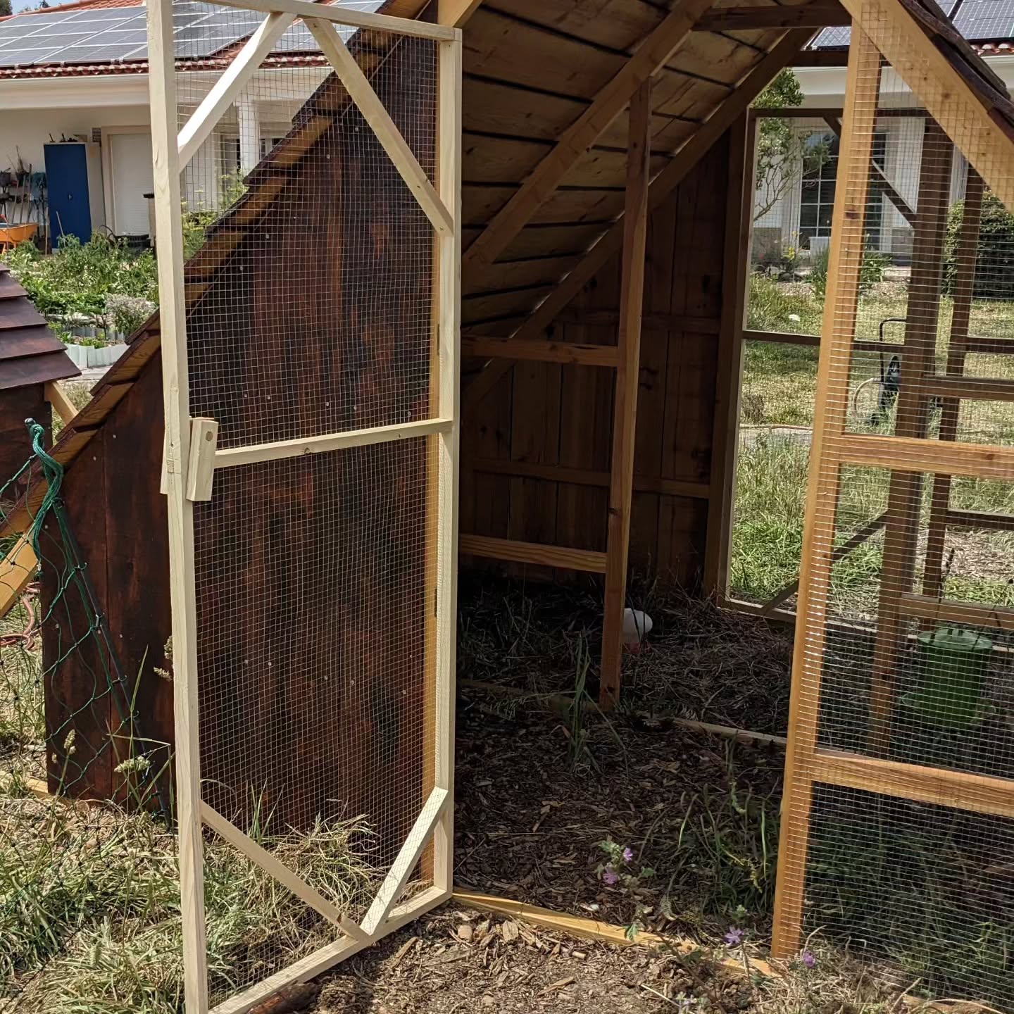 Finishing touches on the new coop: the second door, and a cozy divided space for the two Muscovy mommas.