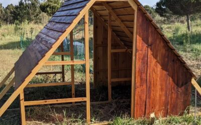 Final set of lateral wall planks mounted on the new poultry house.