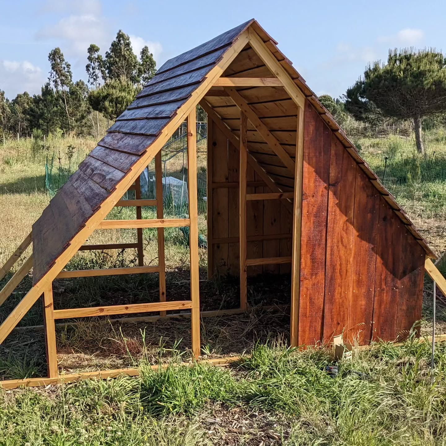 Final set of lateral wall planks mounted on the new poultry house.
