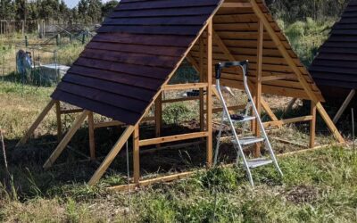Roof and long lateral walls going up on the new poultry house.