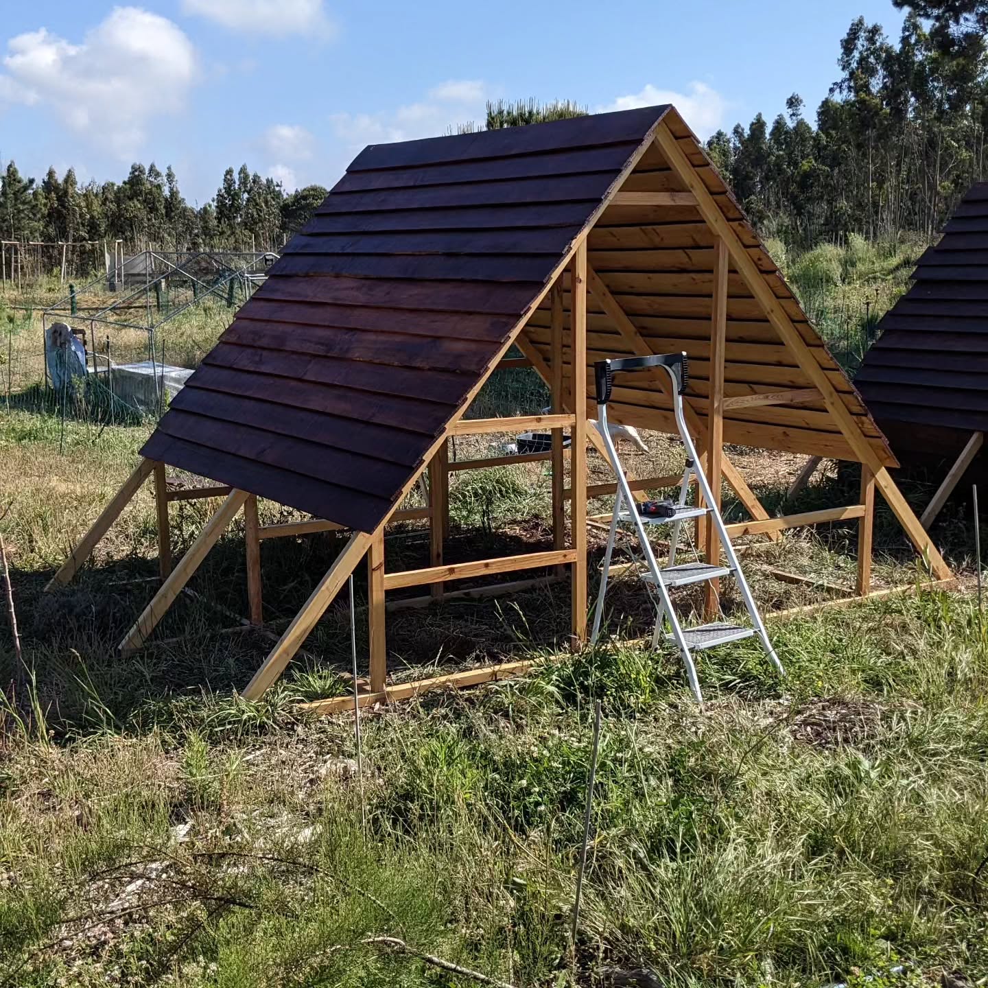 Roof and long lateral walls going up on the new poultry house.
