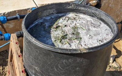 Mixed up a batch of JADAM microbial solution (JMS).
