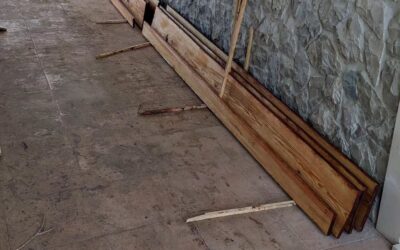 Second coat of varnish on the long lateral siding of the next bird house.