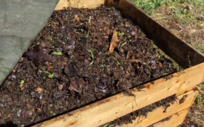 It was time to turn the compost pile again, also known as cardio workout of the day.