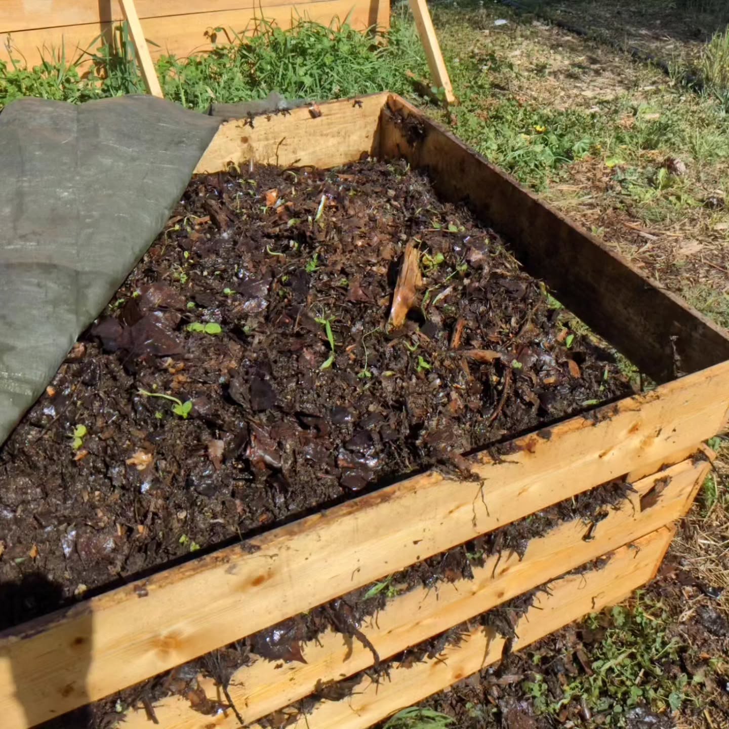 It was time to turn the compost pile again, also known as cardio workout of the day.