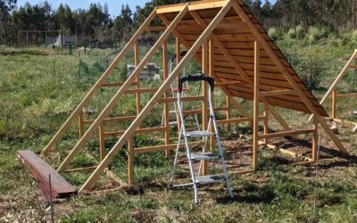 Roof cladding and walls going up on the first of the new bird houses.