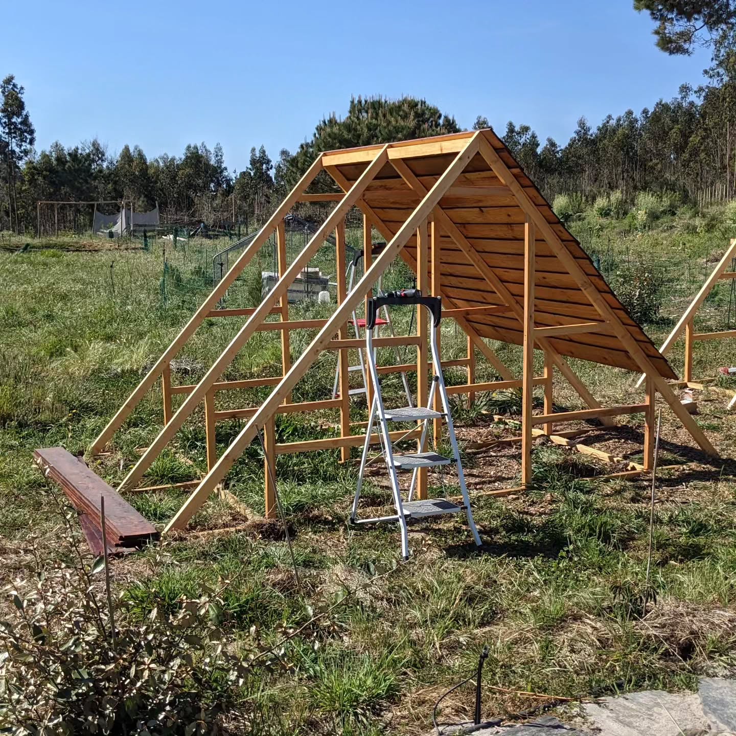 Roof cladding and walls going up on the first of the new bird houses.