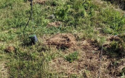 #weeding and #mulching on the east #swale tree lines.