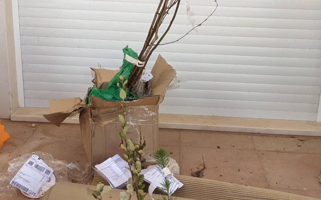 Late batch of trees arrived and are starting to get planted.