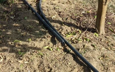 Reconnected a water tap that was impacted by the new pump works.