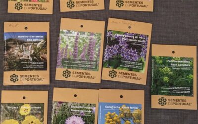Spreading a bunch of native and wildflower seeds around the garden.