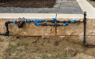 The terrace is done, the new pump installed in the water tank, and the irrigation system is nicely connected again.