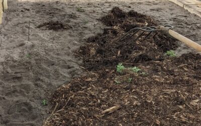 Planting and mulching the new terrace.