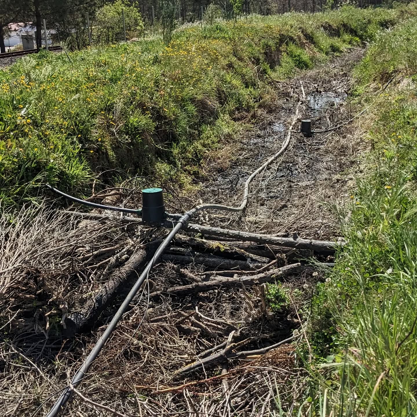 Starting to build a hugel-dam in the east swale.