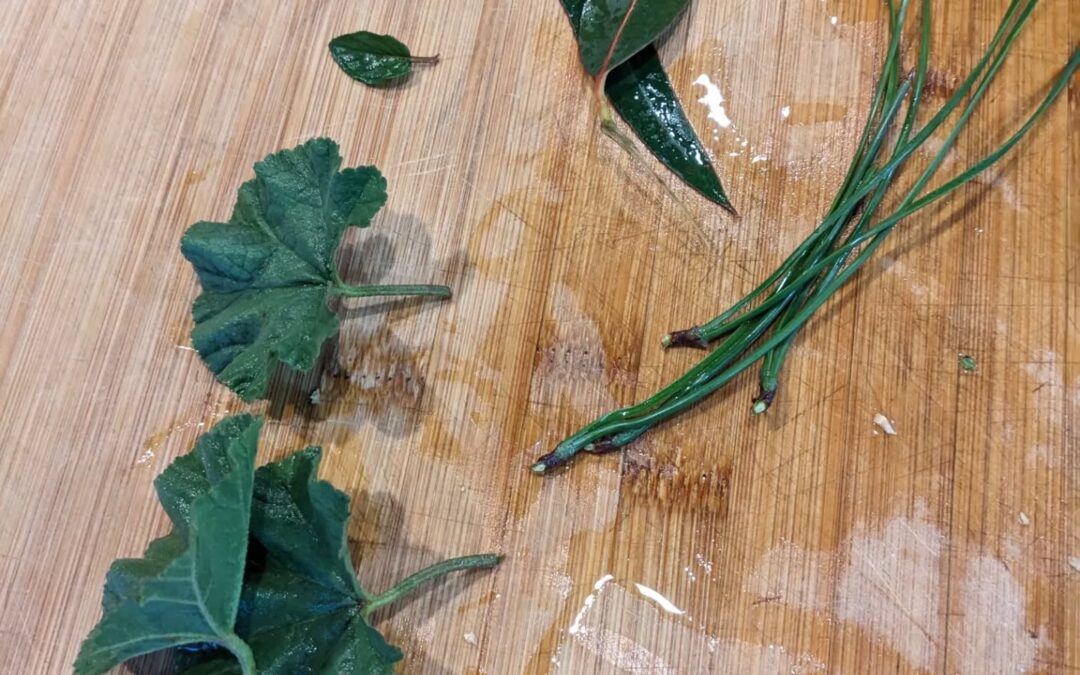 We are still recovering from whatever bug we got so we made another tea. This one is #malva, #eucalyptus , #pine, and #mint. Everything from a few meters away from the kitchen. The only outside addition was the ginger. One of us picked the leaves, the kids Identified the plants and cooked it.