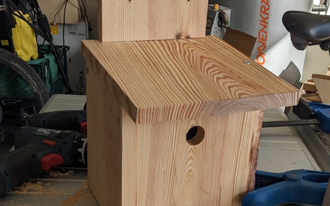 Made a nest for blue tits (chapim azul).