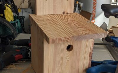 Made a nest for blue tits (chapim azul).