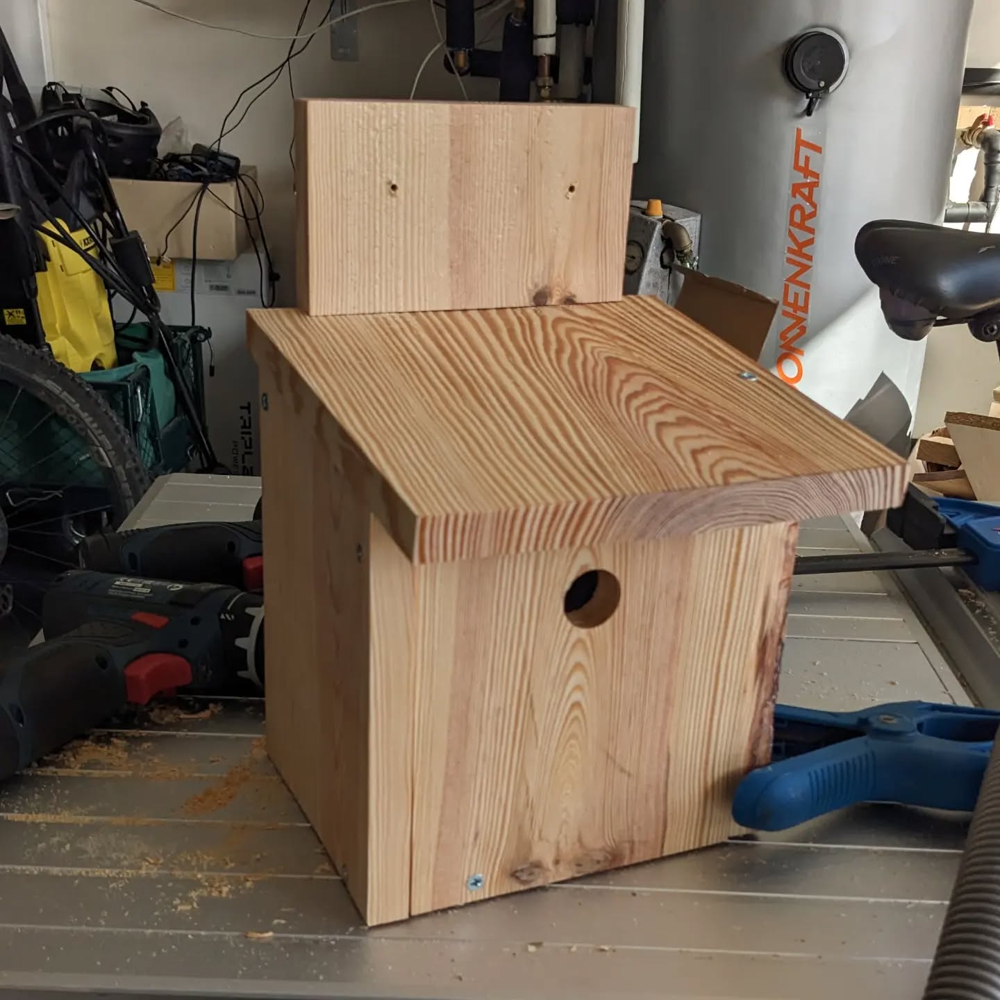 Made a nest for blue tits (chapim azul).