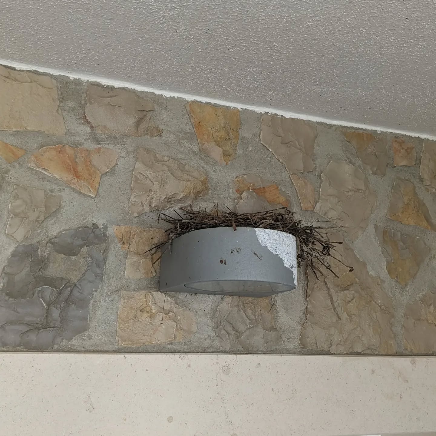 Some birds seem to have built a nest on top of one of the outdoor lights.