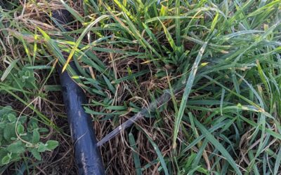 Irrigation season is almost here. There was a leak in the mainline, where I’d hit it too hard while hand cutting grass.