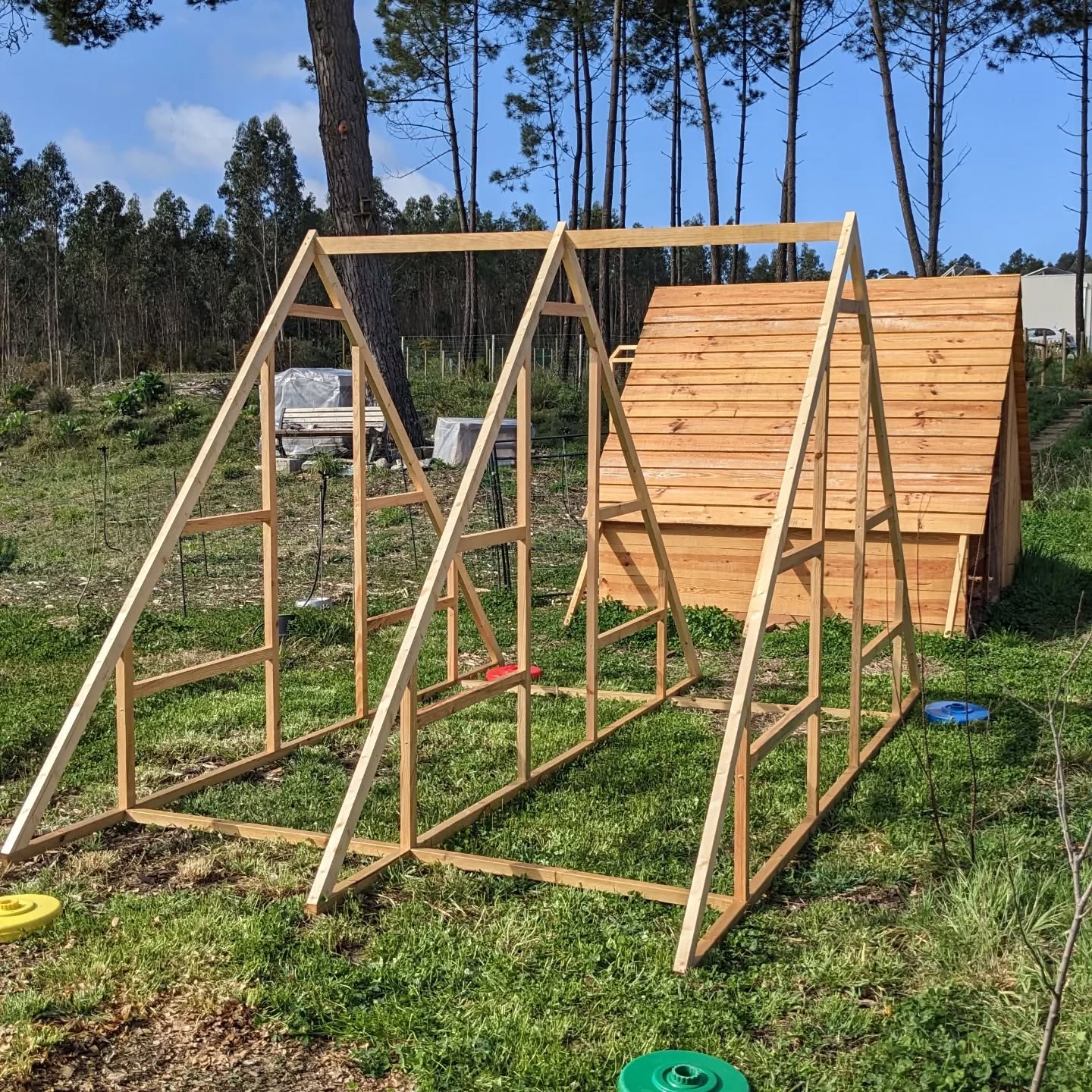 One new duck coop frame in place and another waiting for a second coat of varnish.