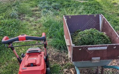 Cutting the grass at the beginning of #zone2 to make room for the new duck houses.