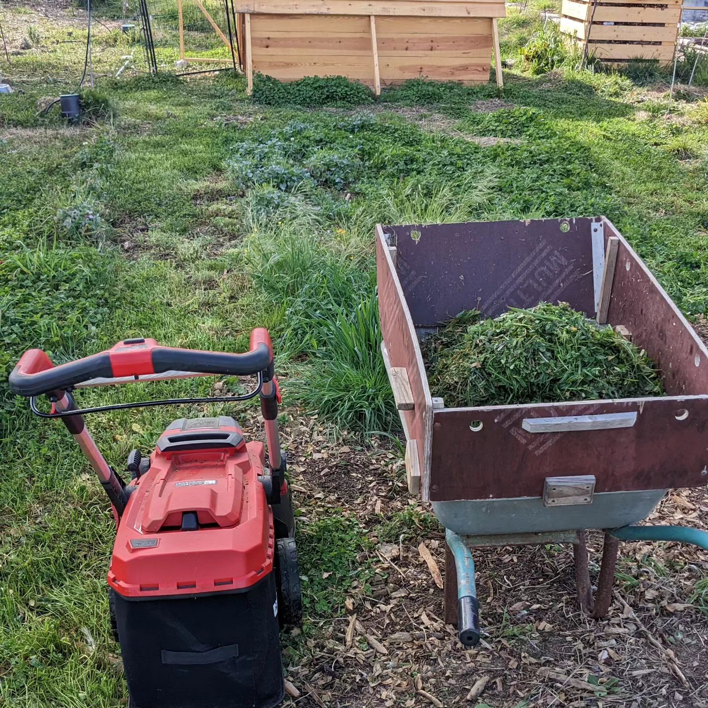 Cutting the grass at the beginning of #zone2 to make room for the new duck houses.