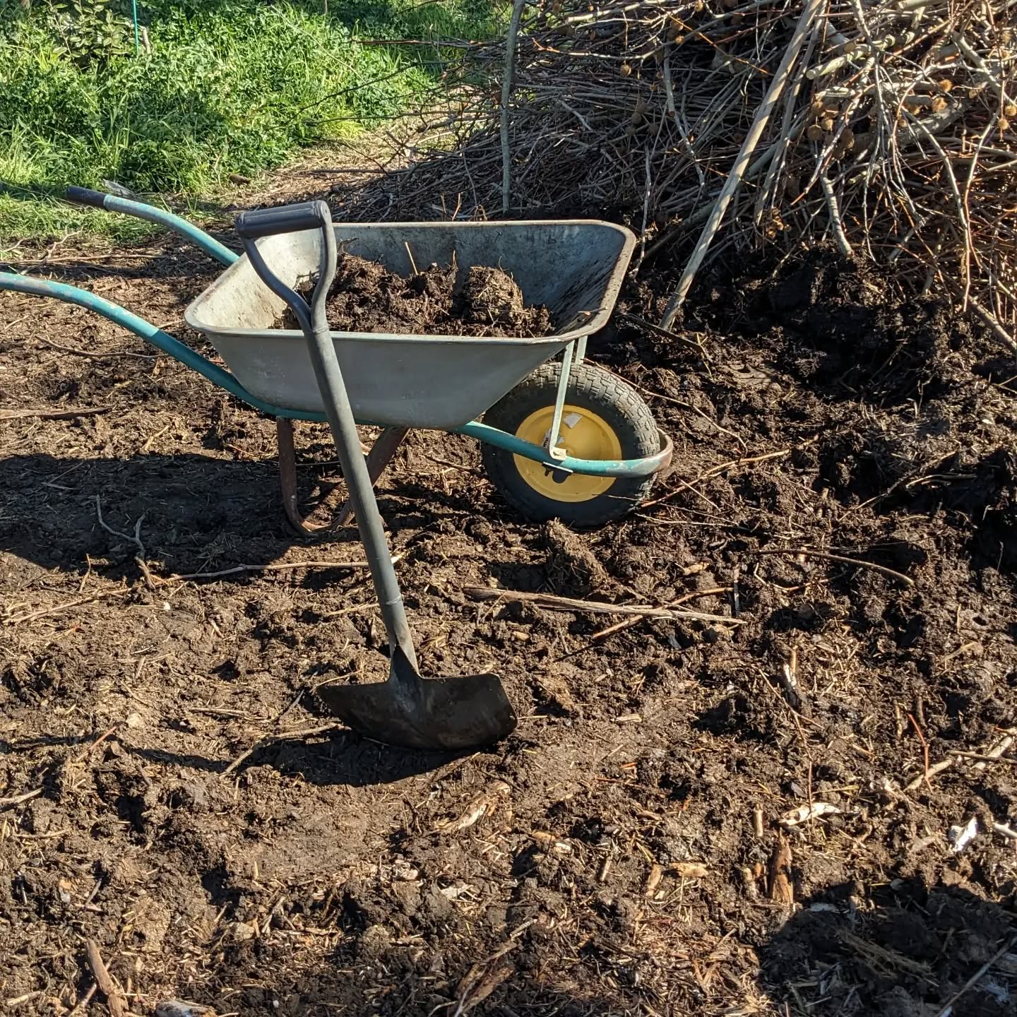 Hauling manure for the new garden beds.