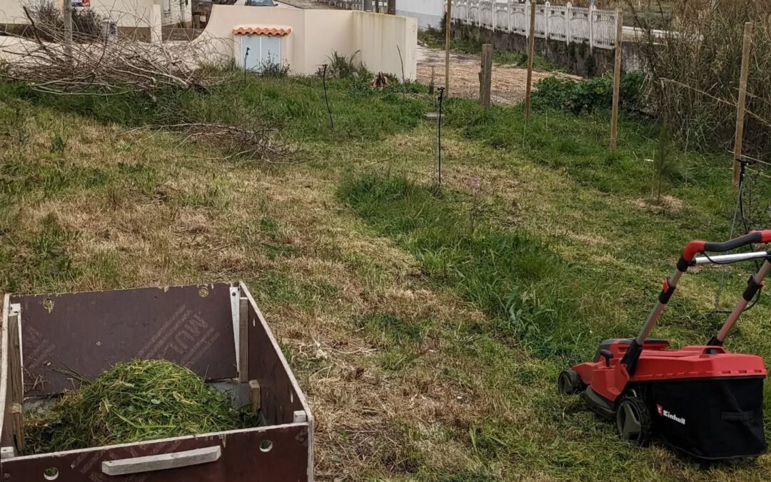 Mowing some more grass and weeds to use as mulch.