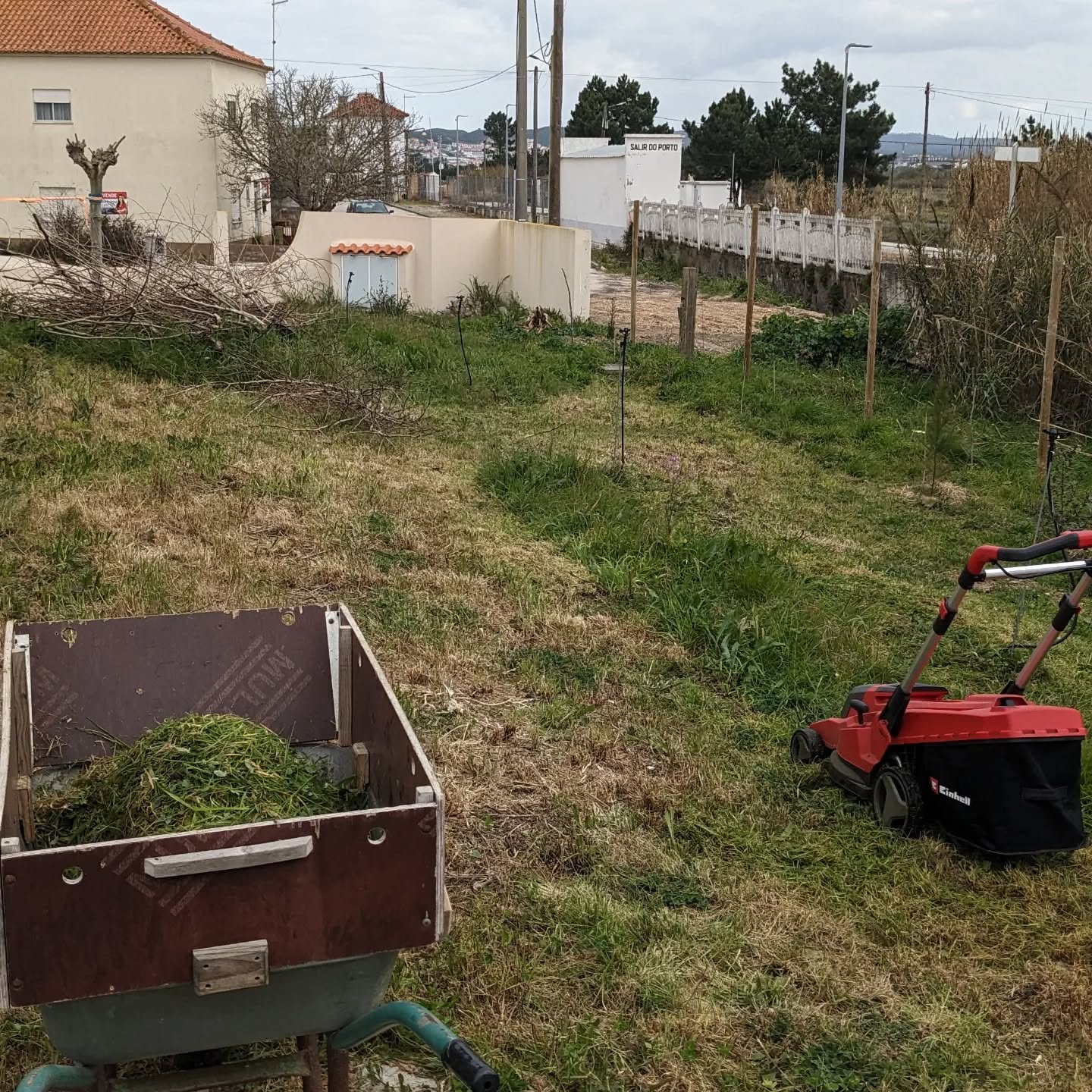 Mowing some more grass and weeds to use as mulch.